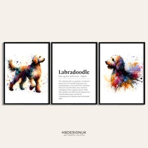 Labradoodle Dog Prints - Set of 3 Posters | Watercolour Definition Wall Art | Colourful Painting | Room Decor | Dogs Artwork Gifts | Pet