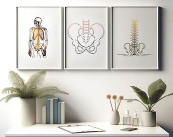 Chiropractic Print Set - 3 Line Art Posters | Chiropractor Office Decor | Anatomy Wall Art | Chiro Clinic Artwork | Medical Room Prints