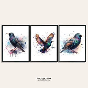 Poster di uccelli con stampa artistica di storno - Set di 3 immagini / Stampa di storno / Poster acquerello / Regali acquerello / Arredamento / Arte della parete animale