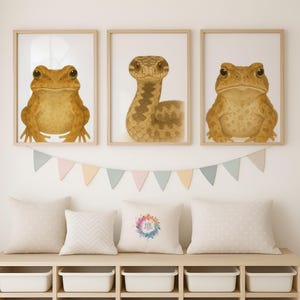 Forest Animal Prints - 30 Design Choices, Frog Adder Toad, Baby Bedroom Decor, Boys Girls, Woodland Nursery Prints, Kids Room Wall Art