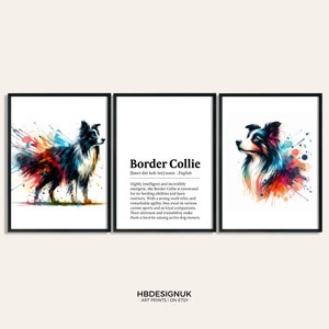Border Collie Dog Prints - Set of 3 Posters | Watercolour Definition Wall Art | Colourful Painting | Room Decor | Dogs Artwork Gift | Pet