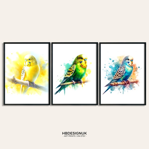 Budgie Poster Set - Set of 3 Prints | Watercolor Budgies Painting | Present Picture | Animal Wall Art | Bird Gifts | Birthday Artwork