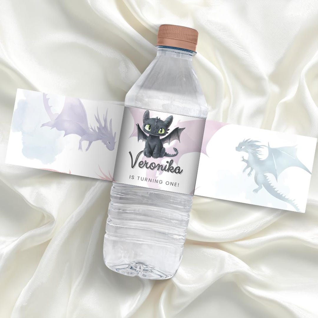 How to Train Your Dragon Water Bottle Labels: Viking Party (digital ...