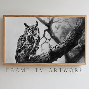 Art tv cadre hibou noir et blanc, art tv cadre samsung, art tv cadre 4k, art tv cadre bohème, oeuvre d'art tv, art tv 4k, art tv cadre moderne