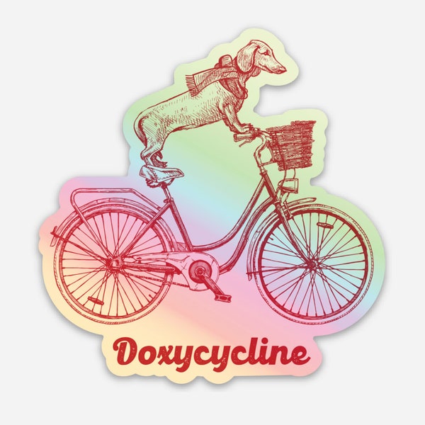 Doxycycline Holographic Sticker, Size 2.92″ × 3″, Dachshund on a Bicycle Sticker, Cute Dog Sticker, Wiener Dog Sticker, Veterinary Sticker