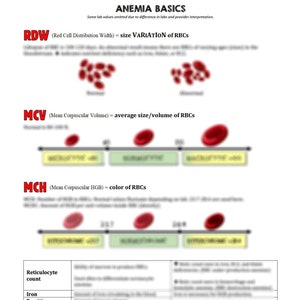 May include: Anemia Basics infographic with red blood cells and a table of lab values. The infographic explains the meaning of RDW, MCV, and MCH, which are red blood cell measurements used to diagnose anemia.