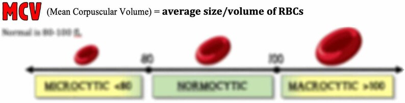Anemia Diagnosis Quick Reference (PDF) - Etsy