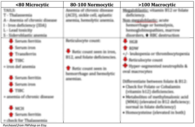 Anemia Diagnosis Quick Reference (PDF) - Etsy