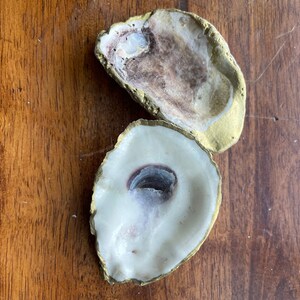 Puede incluir: Dos conchas de ostra pintadas de oro, una con un interior blanco y la otra con un interior marrón. Las conchas están sobre una superficie de madera.