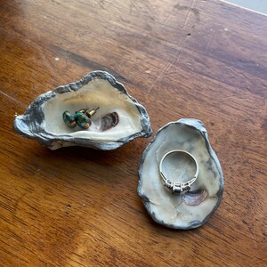 Puede incluir: Dos platos de concha de ostra, uno con un anillo y el otro con un par de aretes. Las conchas están pintadas de plata y tienen un interior blanco natural.