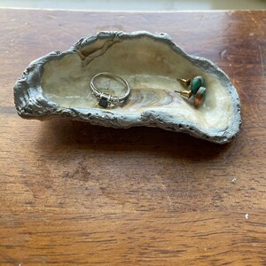 Anillo de ostra grande / Soporte de joyería- con bordes de plata- 4 "y más grande