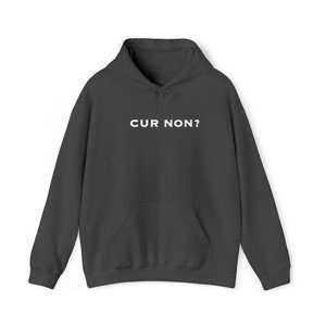 Marquis de Lafayette Cur Non (Why Not) Unisex Heavy Blend Hooded Sweatshirt - Lafayette, Washington, Hamilton, Bicentennial, Motto, History