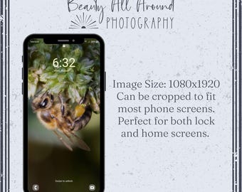 Bee (Version 2) Smartphone Wallpaper - Home Screen - Lock Screen - Digital Background - Bees Aesthetic Photo