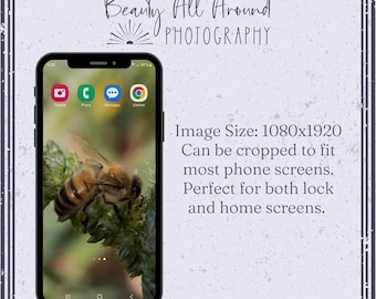 Bee (Version 4) Smartphone Wallpaper - Home Screen - Lock Screen - Digital Background - Bees Aesthetic Photo