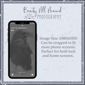 May include: A black and white image of a crow on a phone screen. The phone screen shows the time and date, "12:43 Thu, September 5". The text "Beauty All Around PHOTOGRAPHY" is at the top of the image. The text "Image Size: 1080x1920 Can be cropped to fit most phone screens. Perfect for both lock and home screens." is on the right side of the image.