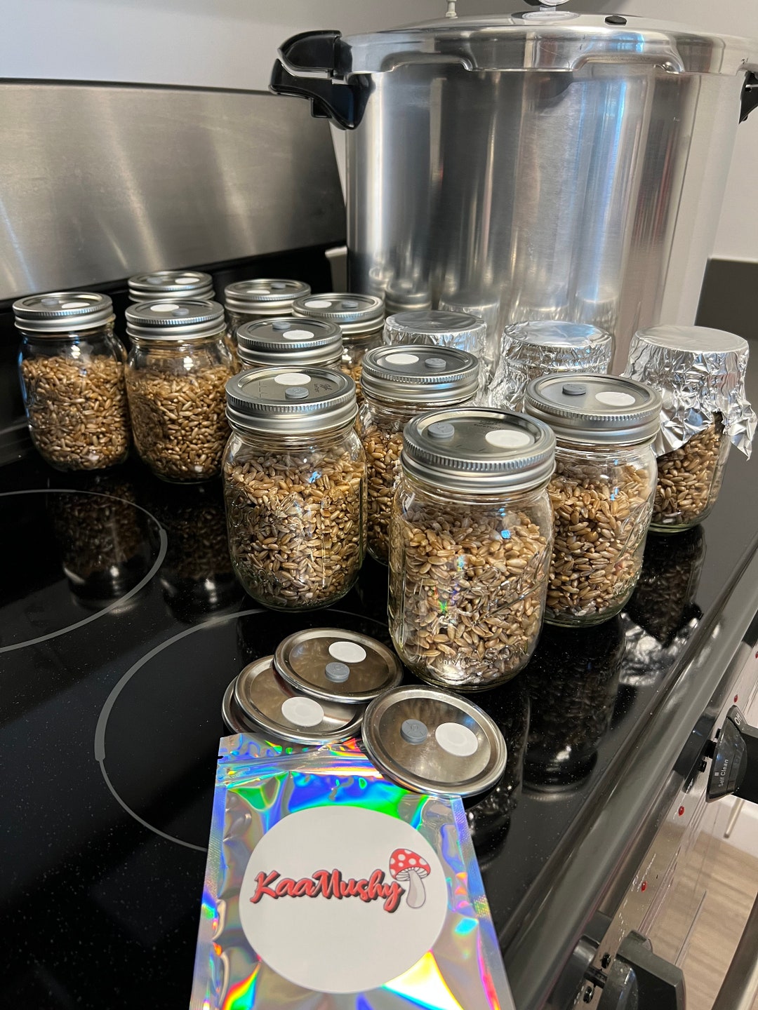 Mushroom Grow Jar Lids Etsy