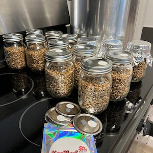 Mushroom Grow Jar Lids