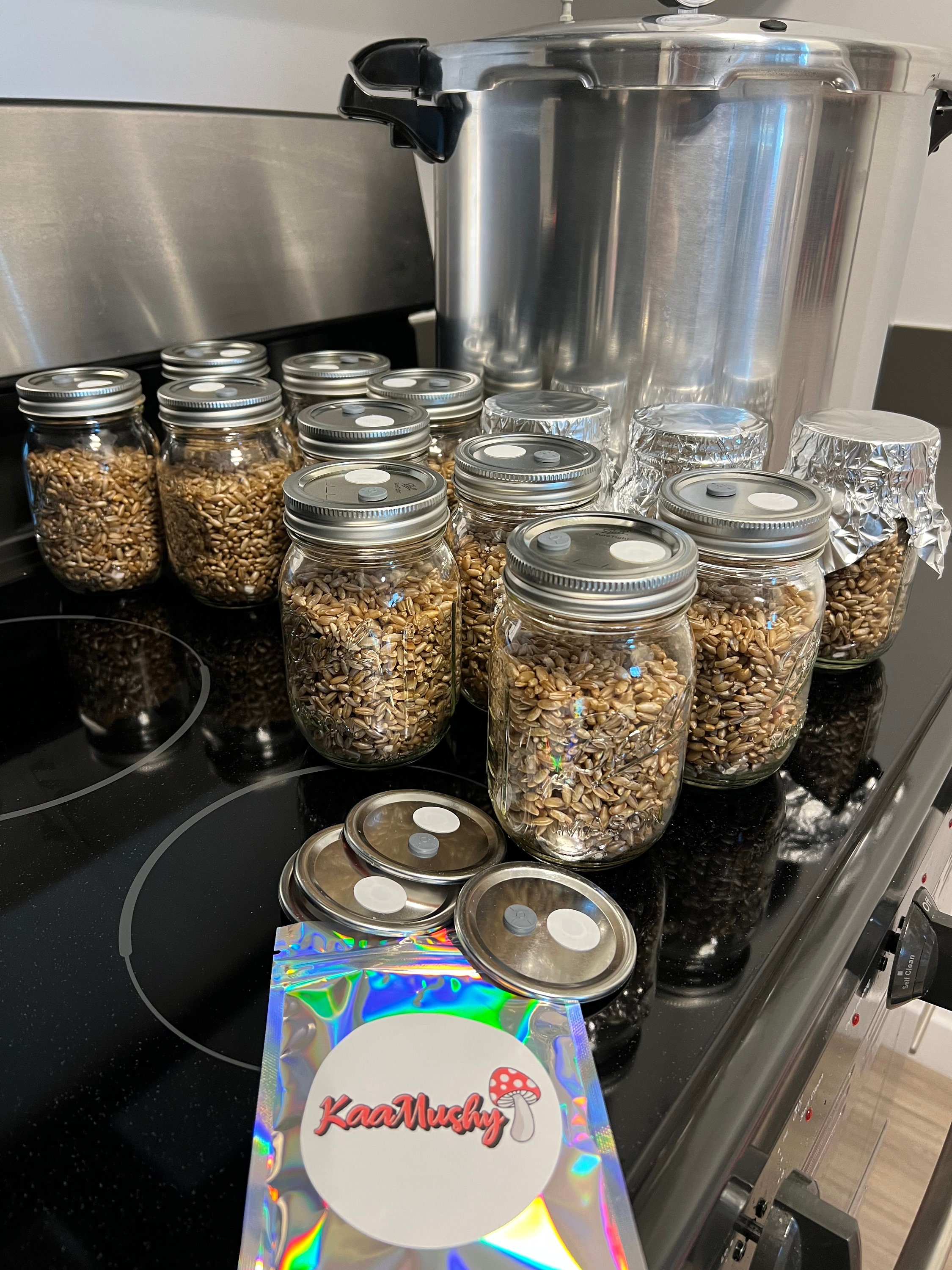 Mushroom Grow Jar Lids Etsy