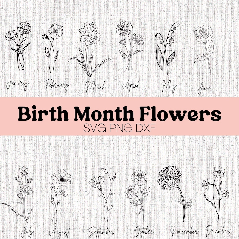 Birth Flower SVG Birth Month Flowers Png Wildflower Svg - Etsy