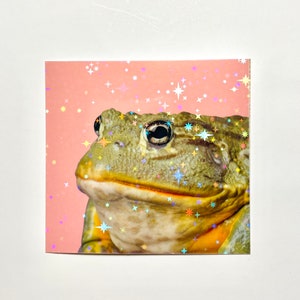 May include: A close-up of a green frog with a pink background. The frog has a large, round eye and a wide, open mouth. The background is covered in small, white stars.