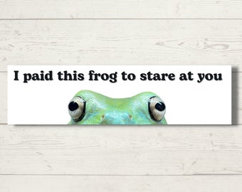 I Paid This Frog To Stare At You - Australian Tree Frog Funny Cute Vinyl Bumper Sticker Car Decal