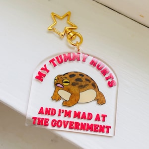 J'ai mal au ventre et je suis fou du gouvernement porte-clés - Grenouille criant de la pluie du désert cadeau idiot drôle, cadeau de Noël, ornement éléphant blanc