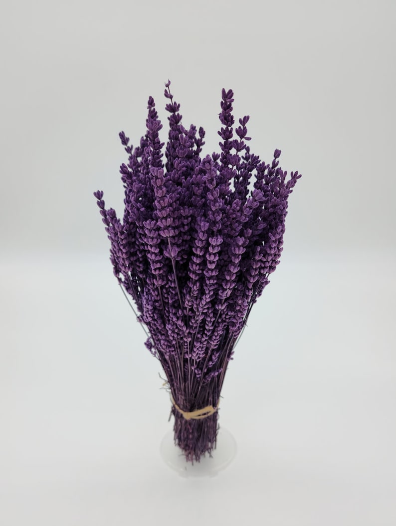 Natural Preserved Lavender Bundle Flowers Perfect for Home Decor, Parties, Weddings, and DIY Crafts image 2