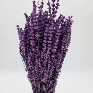 Natural Preserved Lavender Bundle Flowers Perfect for Home Decor, Parties, Weddings, and DIY Crafts image 3