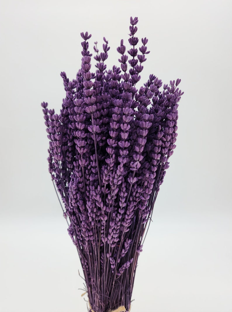 Natural Preserved Lavender Bundle Flowers Perfect for Home Decor, Parties, Weddings, and DIY Crafts image 3