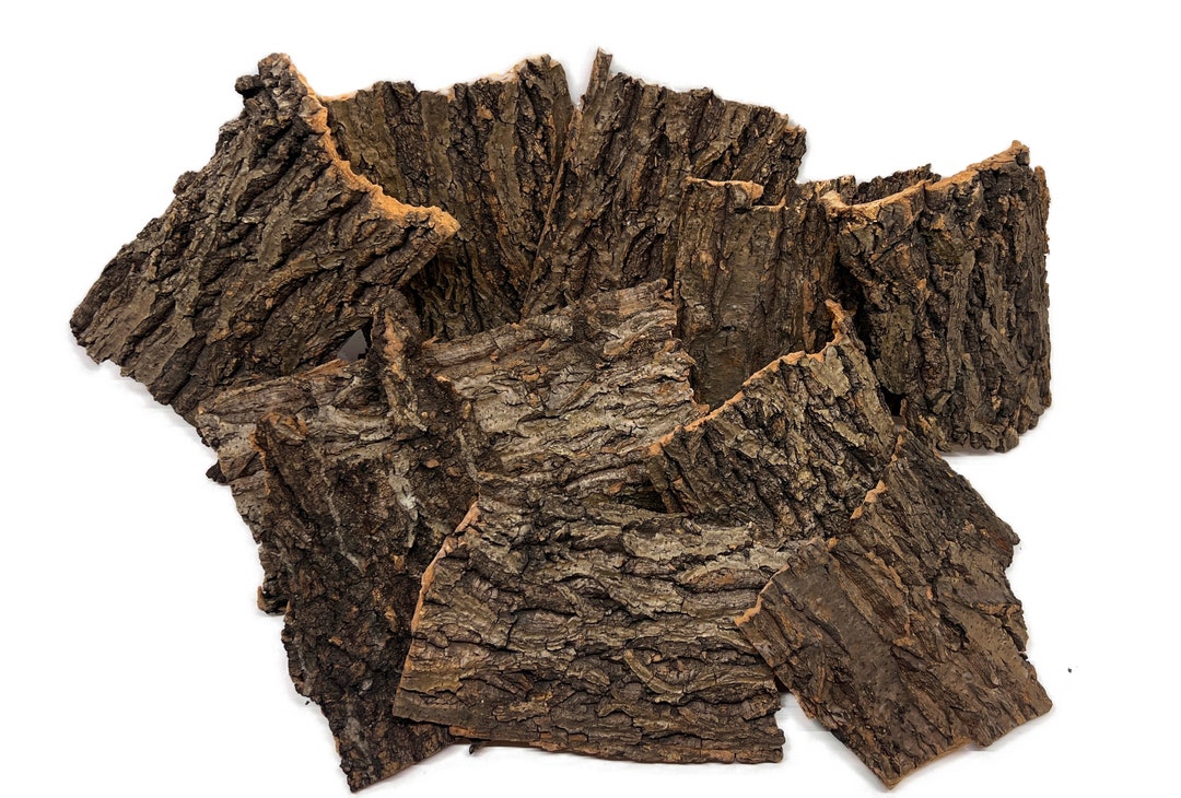 Cork Bark Hides for Isopods Reptiles Spider Tarantula & Etsy
