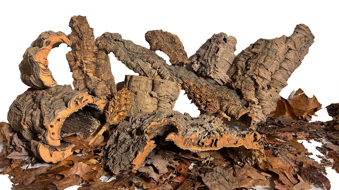 Bulk Cork Bark 3 Lb. Assorted Mix for Terrariums Vivariums Etsy