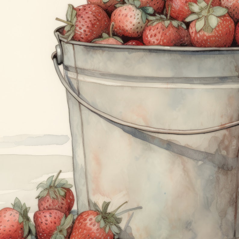 May include: A metal bucket filled with ripe red strawberries. The bucket is made of galvanized metal and has a handle. The strawberries are arranged in a single layer, with some of the leaves still attached.