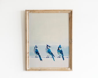 May include: A framed painting of three blue jays perched on a wire against a light blue and white background.