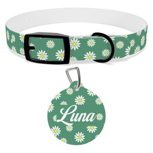 Custom Dog Name Daisy Collar and Pet Tag Bundle