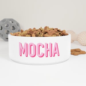 Custom Name Pet Bowl