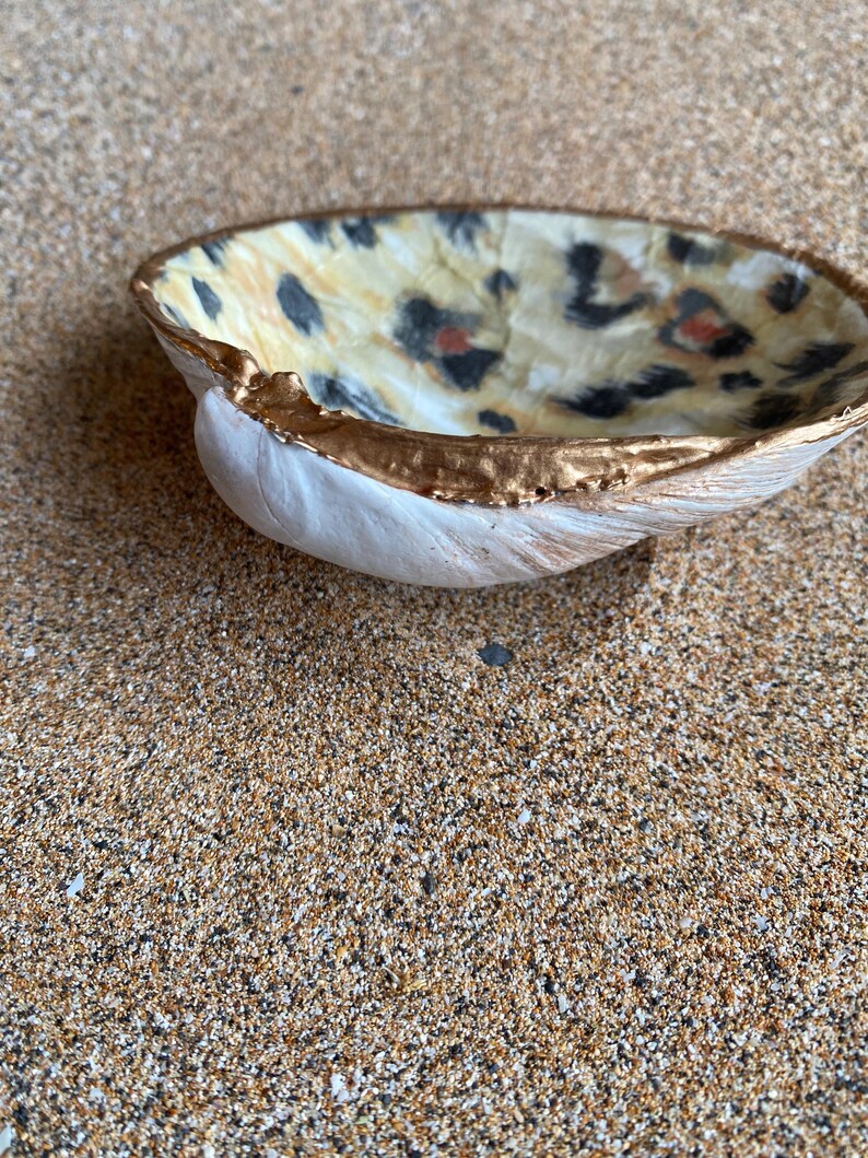Leopard Print on Clam Shell, Trinket Dish, Jewelry Dish, Beach Decor - Etsy