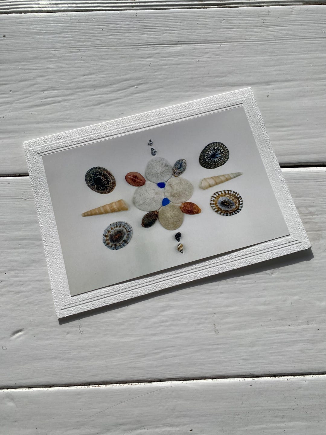 Card Background Shell Blank Greeting Card Featuring Original Photograph of Shells and Sand ...