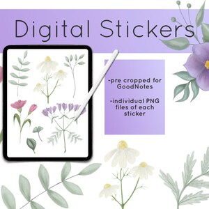 Digital Stickers, Stickers Pack, Pre Cropped Stickers for GoodNotes, Botanical Stickers, Flower and Leaves Stickers, Digital Planner Sticker