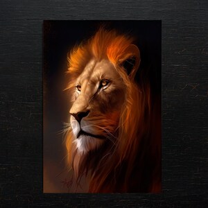 Male lion head