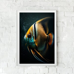 Kaiserfisch