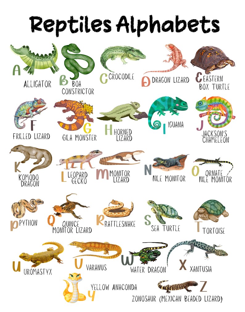 Reptile Alphabets Poster PRINTABLE Animal Alphabet Wall Art Etsy