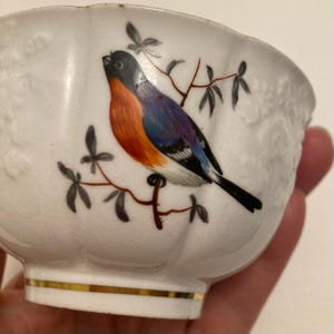 Puede incluir: Taza de té de porcelana blanca con un pájaro colorido posado en una rama. El pájaro presenta plumaje naranja, azul y morado. La taza tiene un borde dorado y detalles florales en relieve.