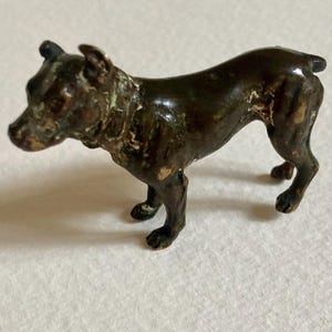 Austrian bronze dog signed underneath the body. Miniature 19th Century cold painted worn off. Showing brass colour in small areas. Viennese