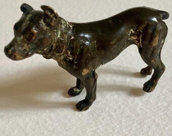 Austrian bronze dog signed underneath the body. Miniature 19th Century cold painted worn off. Showing brass colour in small areas. Viennese