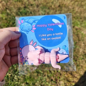 May include: A pink axolotl figurine with a Valentine's Day card that says "Happy Valentines Day I like you a lottle like an axolotl".