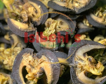 Oven Dried Snails (10 pcs per pack). Best Quality and price deals