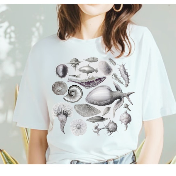 Marine Biology Shirt, Gift for him or her, Sea Fossil TShirt, Vintage Sealife Tee, for Science teacher, Ocean Seashells