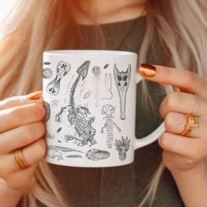 Dinosaur Skeleton Mug, Fossil Mug Gift for Paleontology or Archaeology Lovers, Ammonite & Trilobite Coffee Cup, Whimsigoth