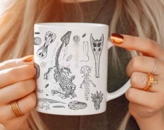 Dinosaur Skeleton Mug: Fossil Coffee Cup for Paleontology Lovers