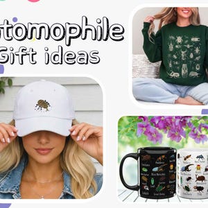 May include: A dark green sweatshirt with a white insect print, a white baseball cap featuring a small embroidered brown beetle, and two ceramic mugs, one black and one white, both decorated with a colourful grid of various insect illustrations.